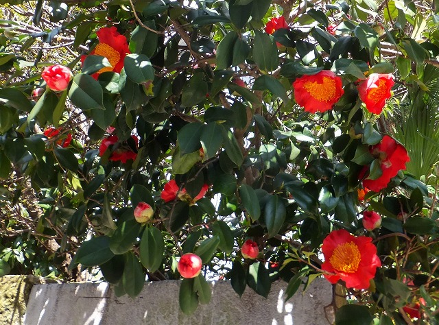 f:id:akaibara:20120402174921j:image:w400