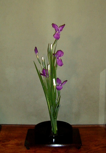 f:id:akaibara:20120607163831j:image:w250
