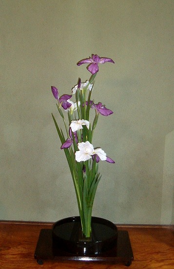 f:id:akaibara:20120609113449j:image:w250