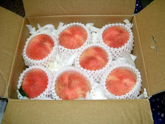 f:id:akaibara:20120718230450j:image:w400