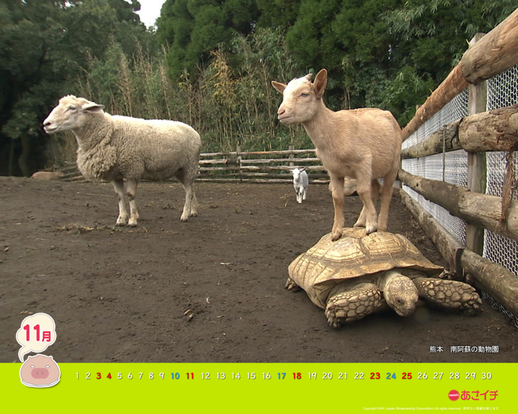 f:id:akaibara:20121026175500j:image:w500