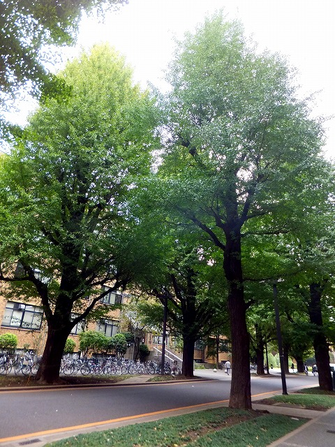 f:id:akaibara:20121031213721j:image:w350
