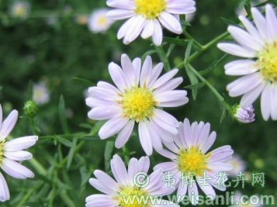 f:id:akaibara:20121129223851j:image:w170
