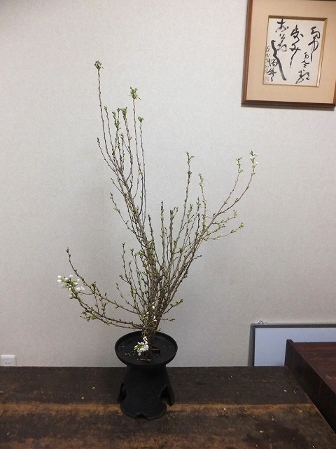 f:id:akaibara:20130218110428j:image:w300