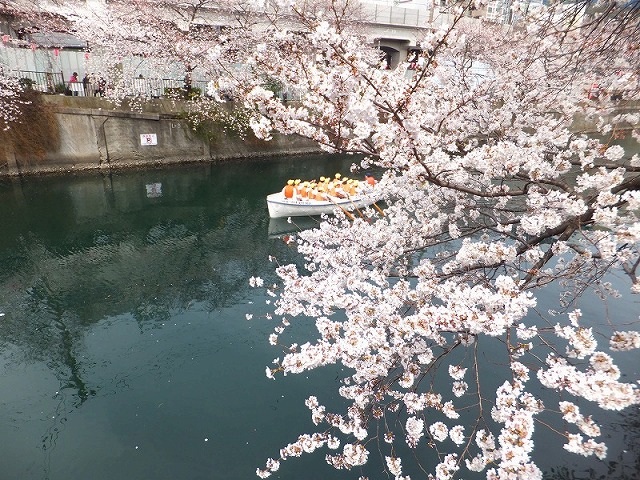f:id:akaibara:20130323212359j:image:w500