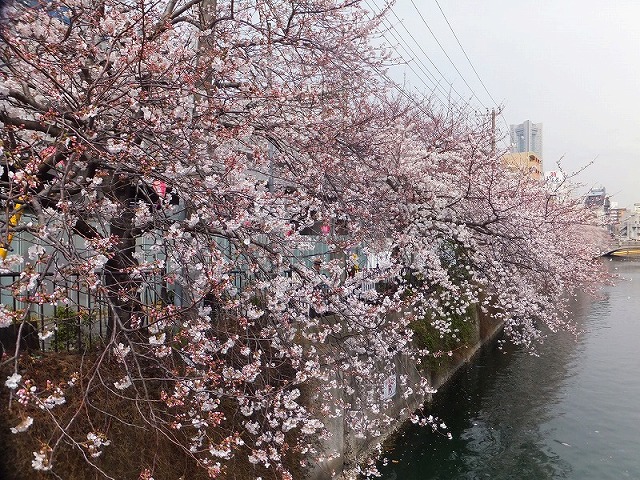 f:id:akaibara:20130323212818j:image:w500