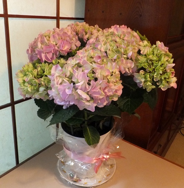 f:id:akaibara:20130601220229j:image:w400