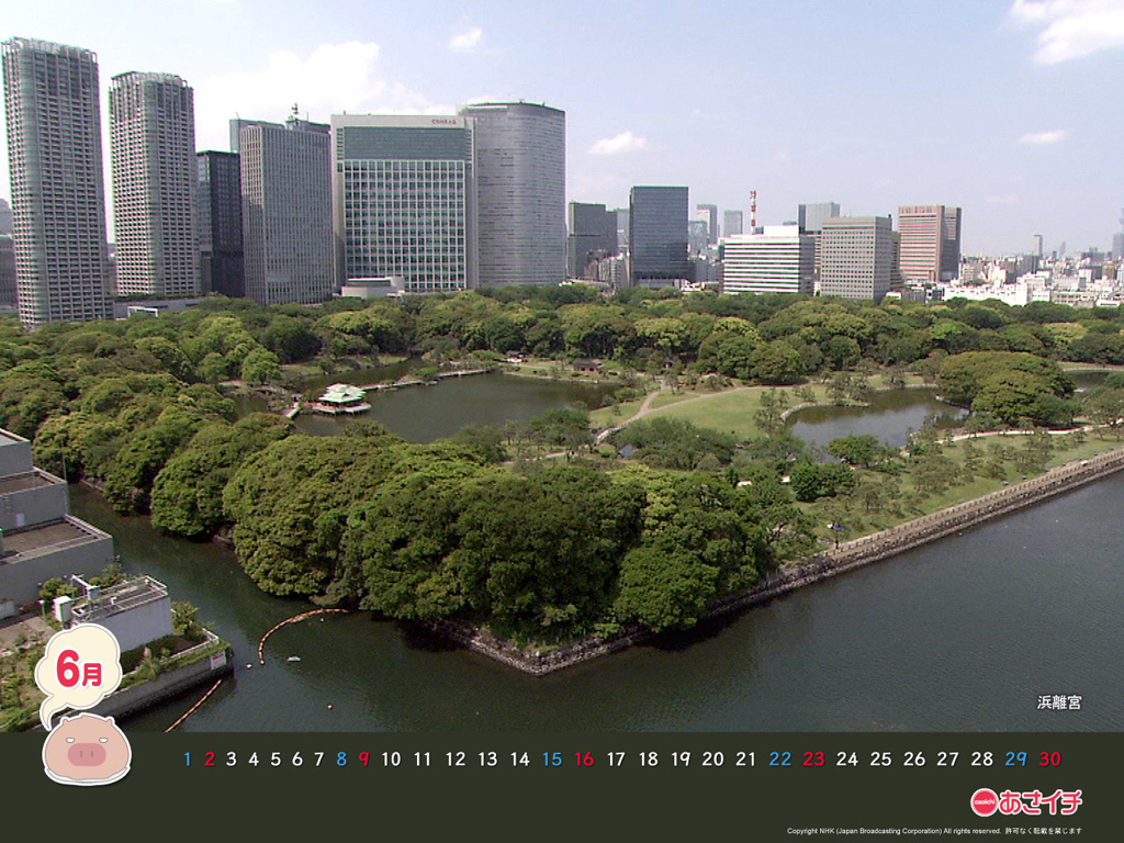 f:id:akaibara:20130604154619j:image:w200