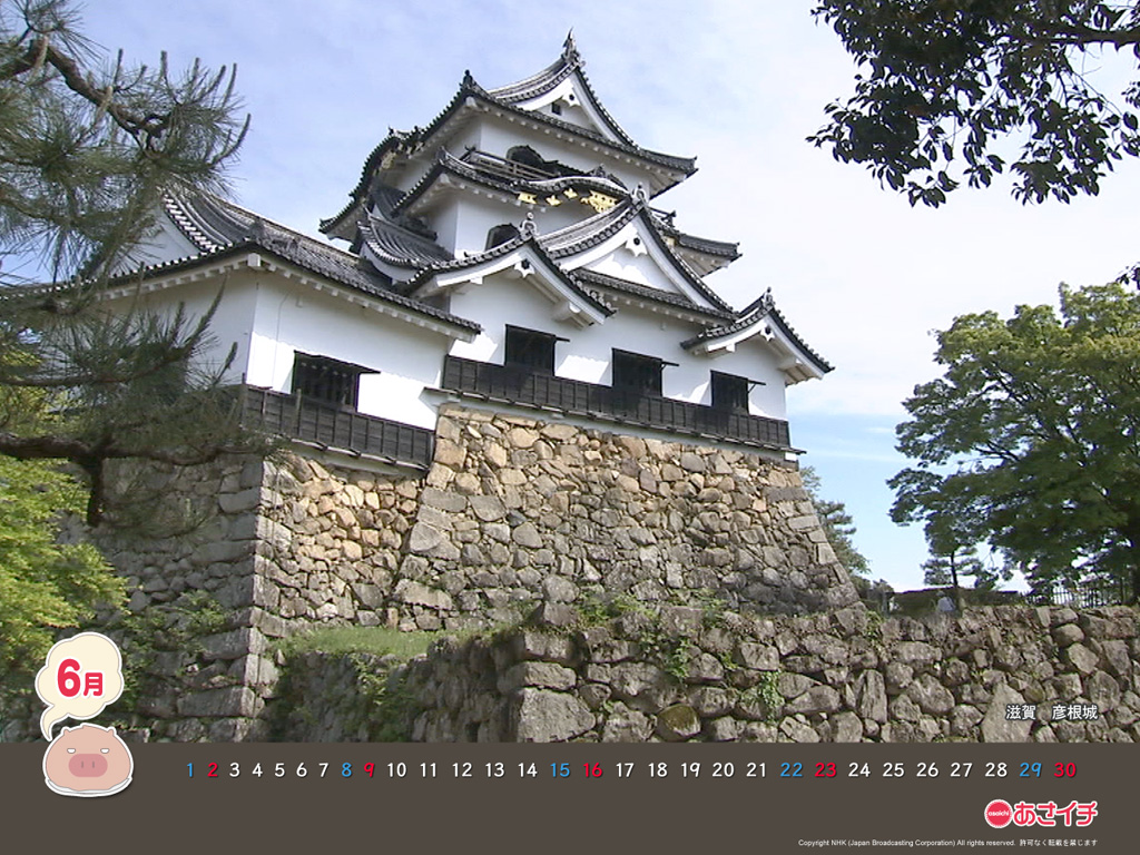 f:id:akaibara:20130611185212j:image:w200