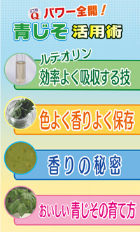 f:id:akaibara:20130611185814j:image