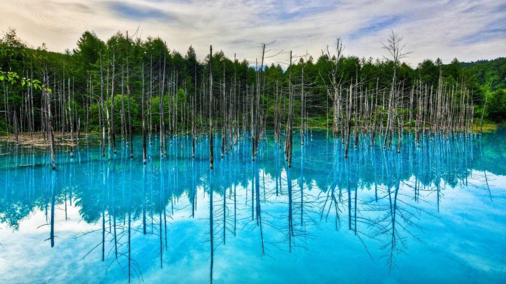 f:id:akaibara:20130903152340j:image:w450