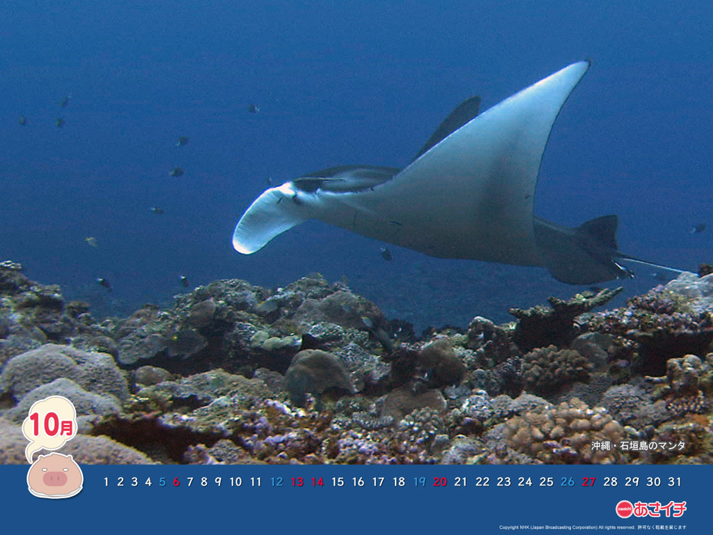 f:id:akaibara:20130917142347j:image:w450