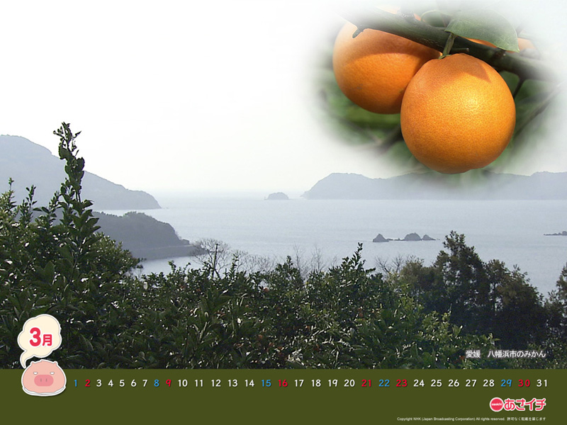 f:id:akaibara:20140225113758j:image:w200