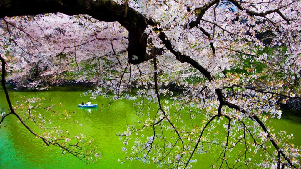 f:id:akaibara:20140408163948j:image:w500