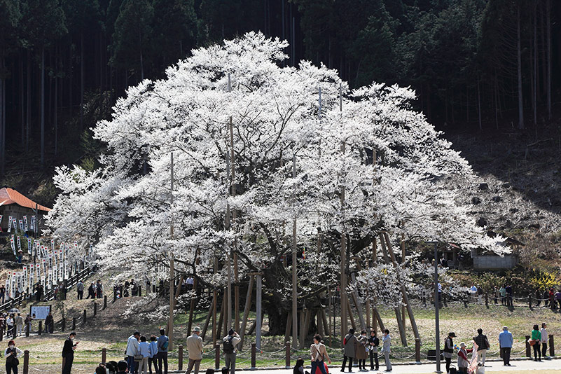 f:id:akaibara:20140412154106j:image:w500