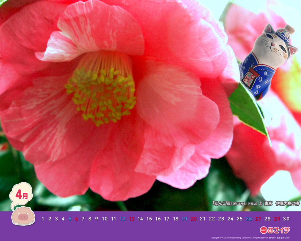 f:id:akaibara:20140415175320j:image:w400