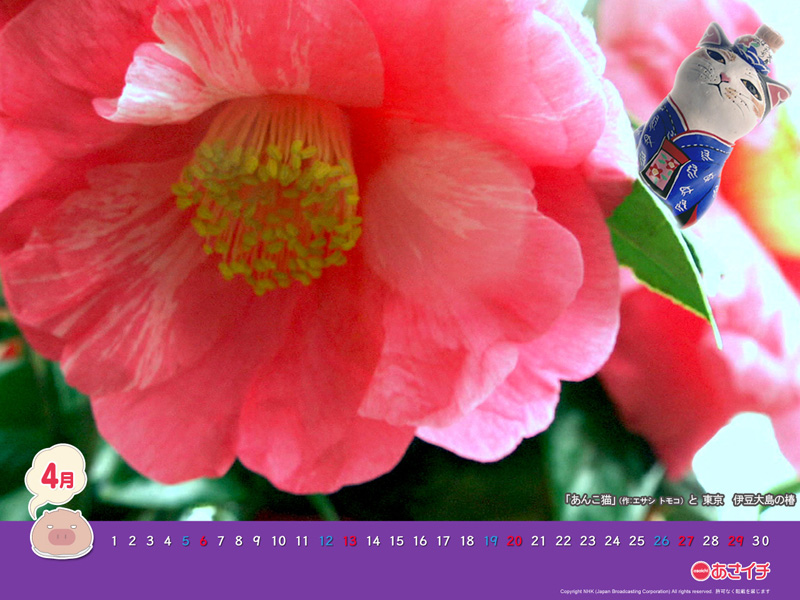 f:id:akaibara:20140415175723j:image:w200