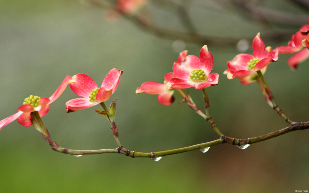 f:id:akaibara:20140421152149j:image:w450