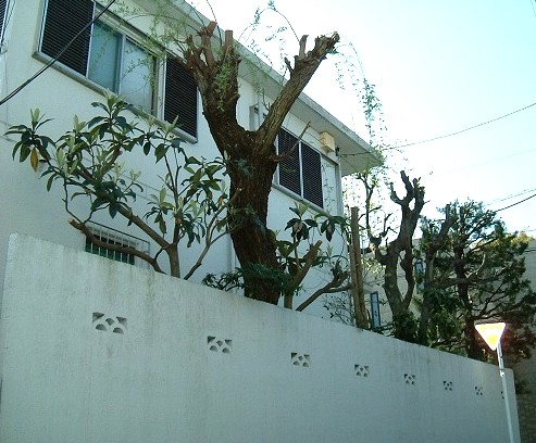 f:id:akaibara:20140426151707j:image:w150