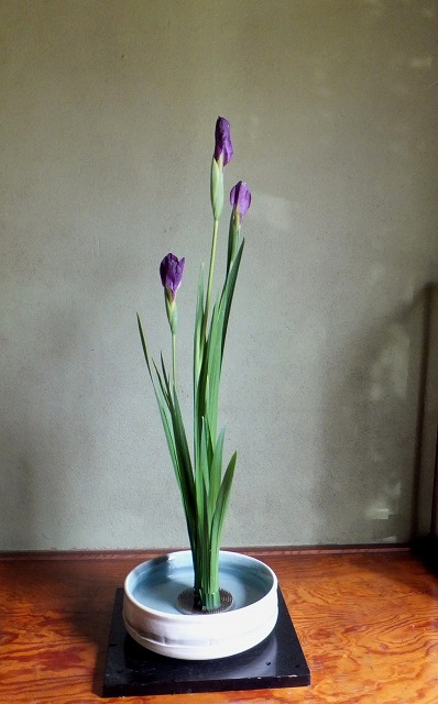 f:id:akaibara:20140508170616j:image:w300