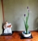 20140508170637