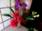 20140510174625