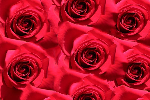 f:id:akaibara:20140519215539j:image:w450