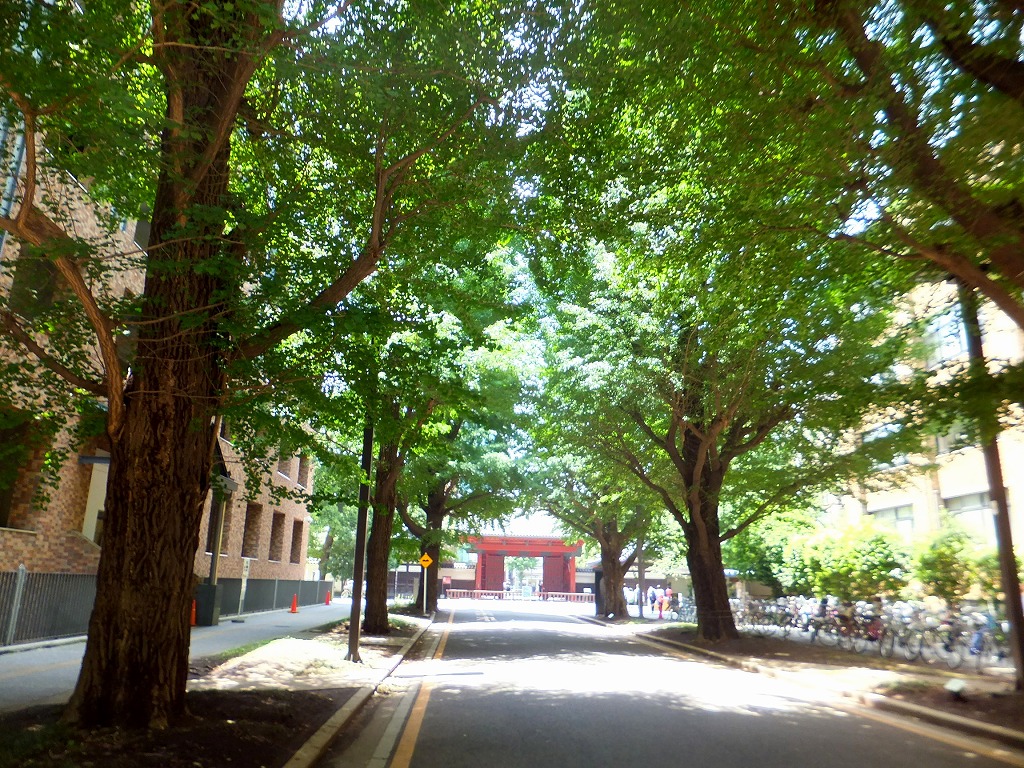 f:id:akaibara:20140528191523j:image:w500