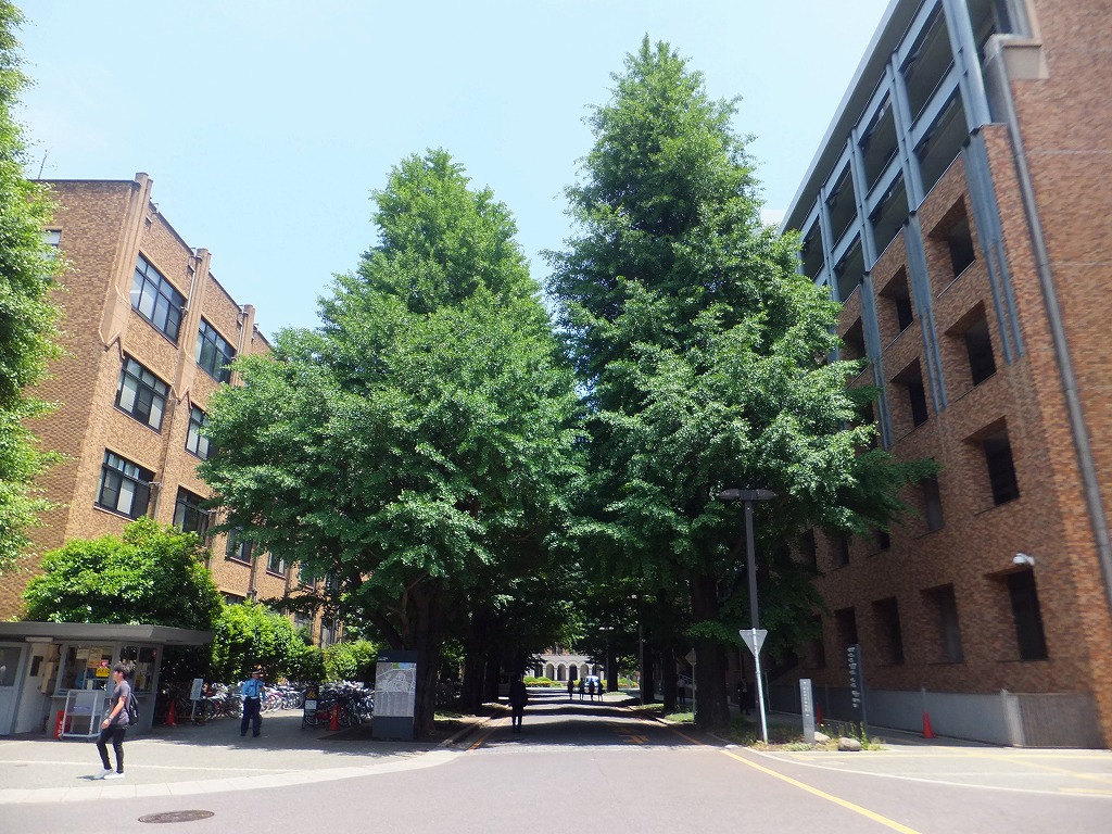 f:id:akaibara:20140528191525j:image:w450