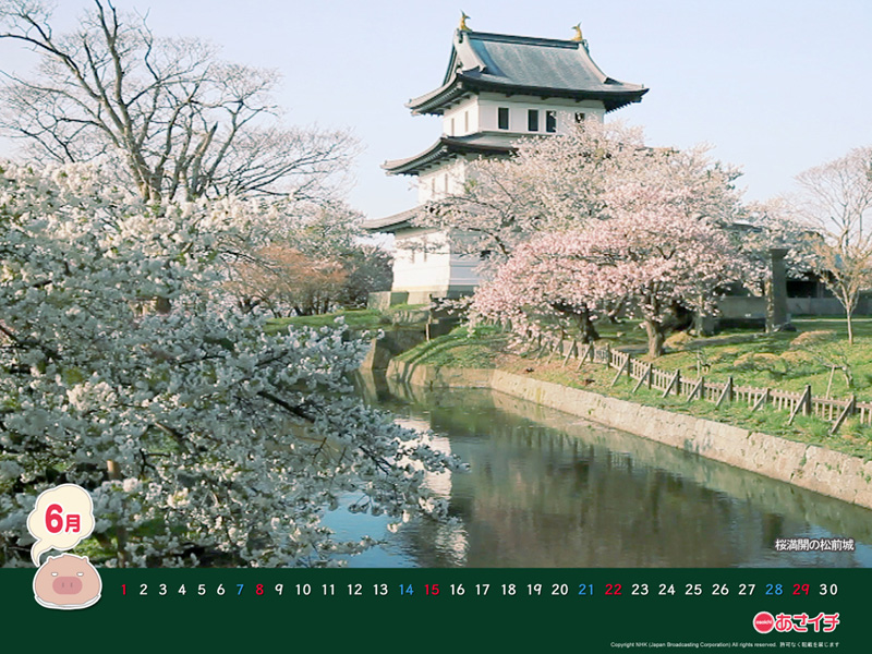 f:id:akaibara:20140603183359j:image:w200