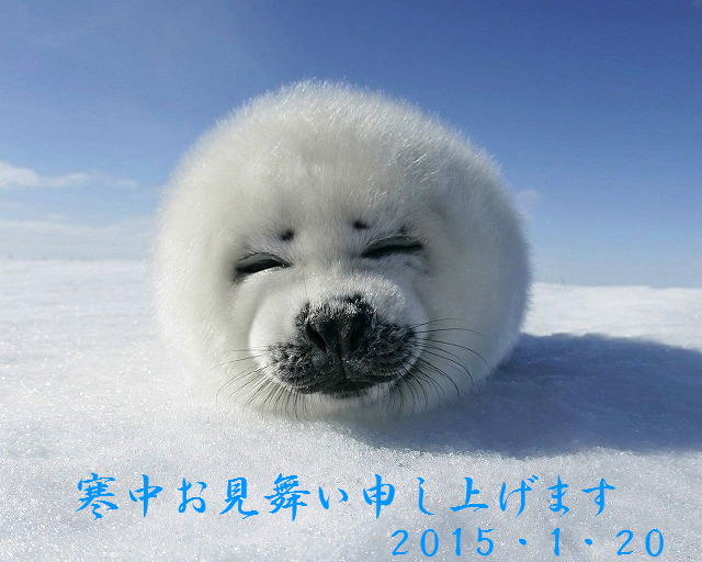 f:id:akaibara:20150120162540j:image:w500