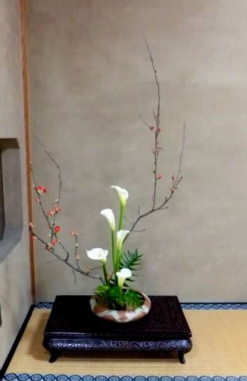 f:id:akaibara:20150206200723j:image:w350