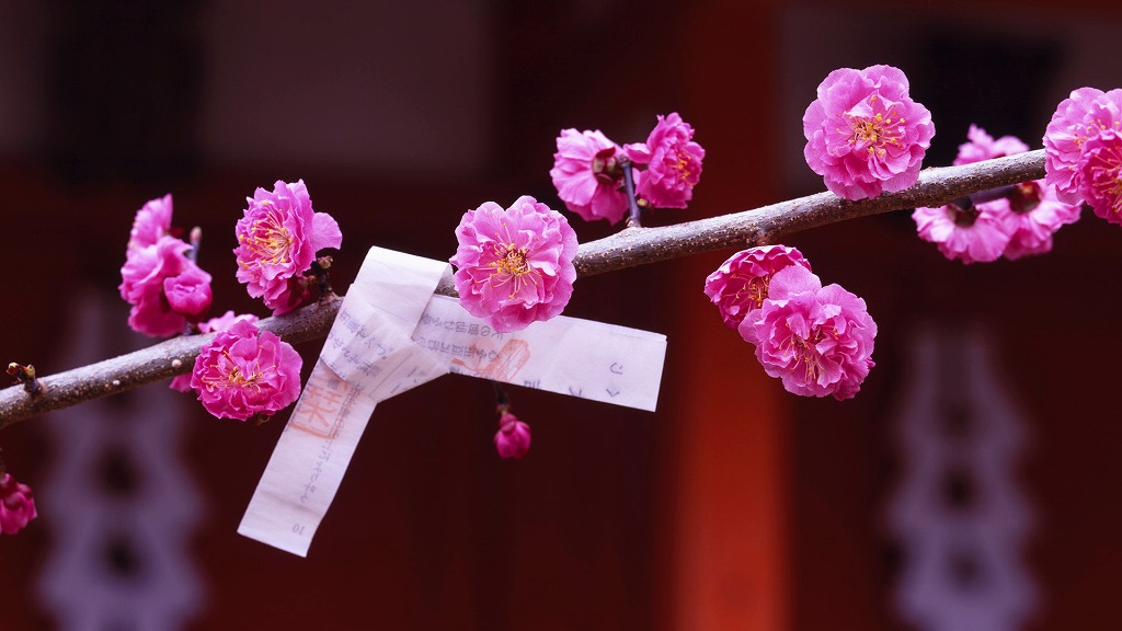 f:id:akaibara:20150226165938j:image:w500