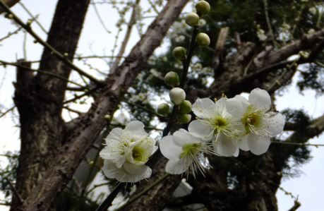 f:id:akaibara:20150226170053j:image