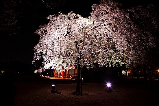 f:id:akaibara:20150410162540j:image:w450