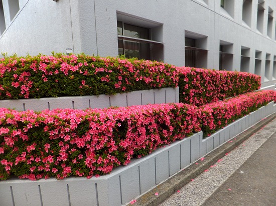 f:id:akaibara:20150524210701j:image:w450