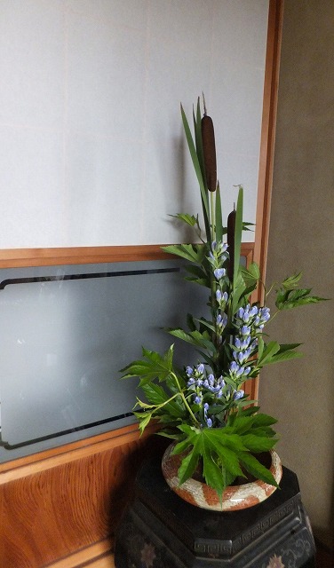 f:id:akaibara:20150718170241j:image:w270