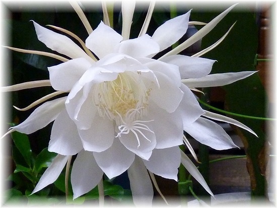 f:id:akaibara:20150809175215j:image:w500