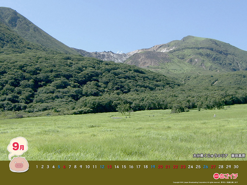 f:id:akaibara:20150901145251j:image:w250