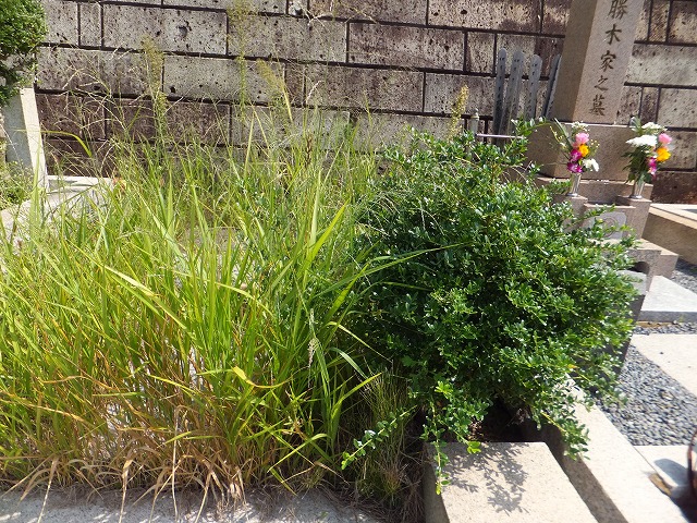 f:id:akaibara:20150919194759j:image:w180