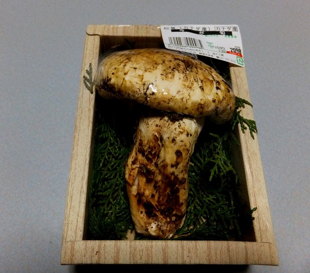 f:id:akaibara:20150930175745j:image:w450