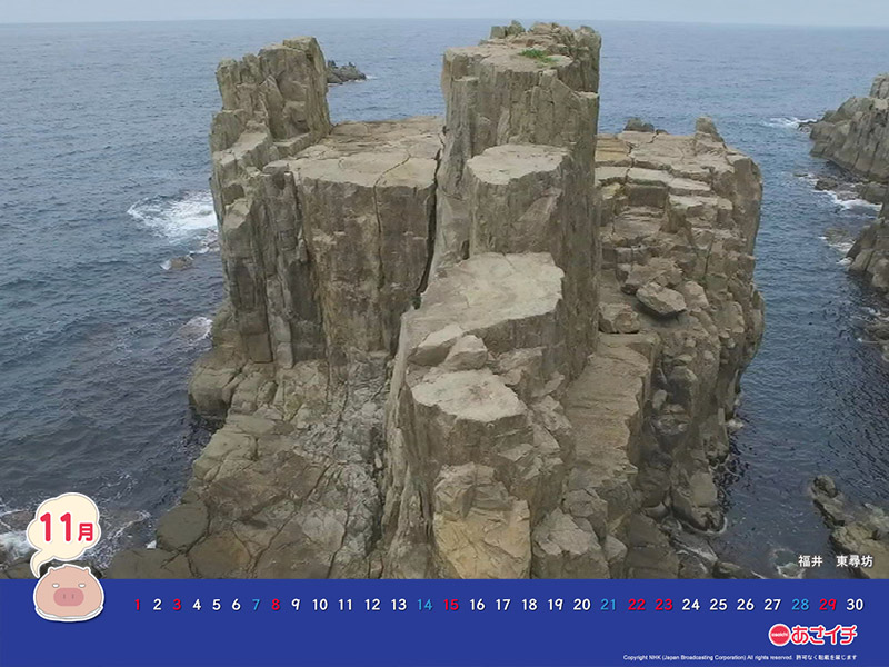 f:id:akaibara:20151110142827j:image:w250