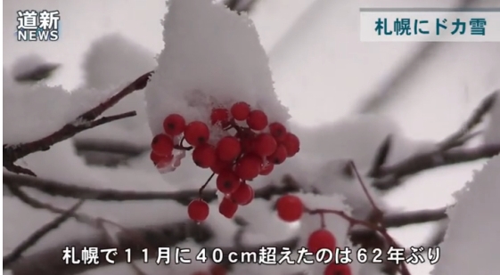 f:id:akaibara:20151125164857j:image:w500