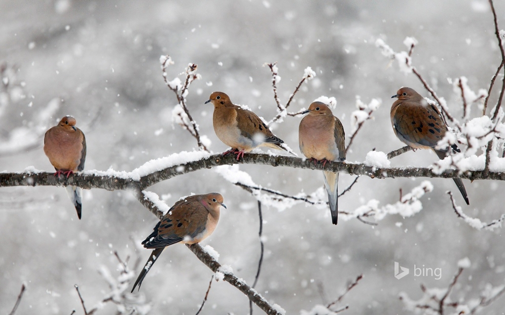 f:id:akaibara:20151214233637j:image:w550