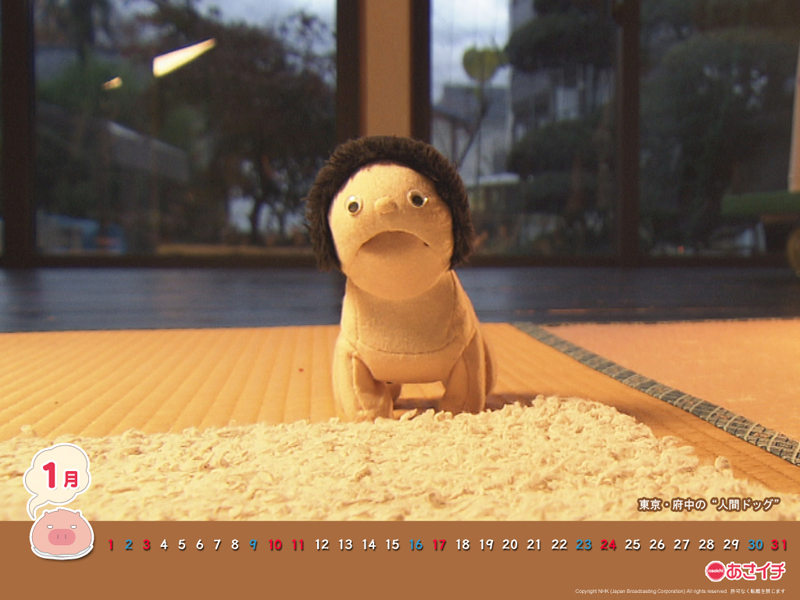 f:id:akaibara:20160112161607j:image:w250