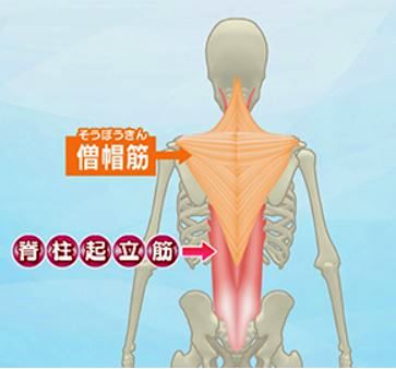 f:id:akaibara:20160112163108j:image