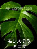 f:id:akaibara:20160114222702j:image