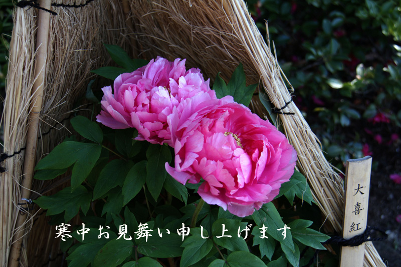 20160121210310