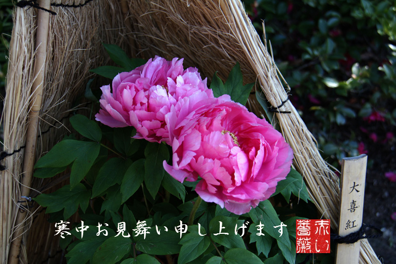 20160122133406