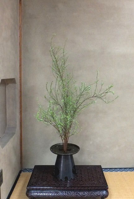 f:id:akaibara:20160210155751j:image:w350